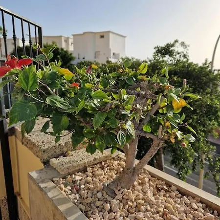 Appartement Golden Sunset Ocean View Costa Adeje (Tenerife)